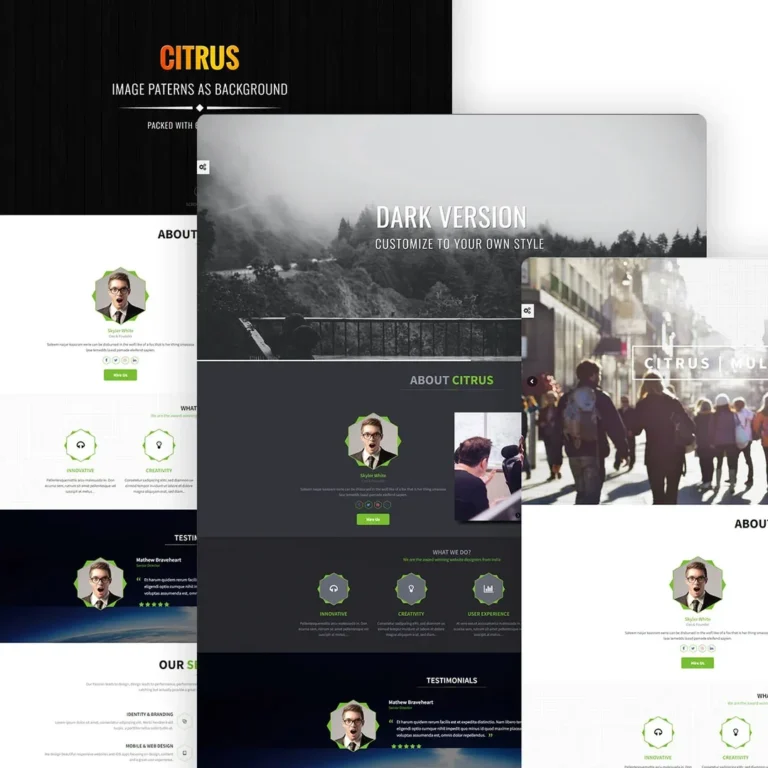 Citrus – One Page WordPress Theme